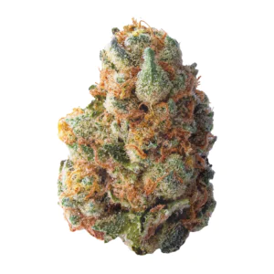 Image of CannXChange CC 25/1