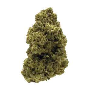 Image of BALANCIAL 23/1 PT-S1 SS