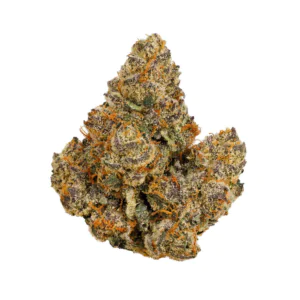 Image of Bathera 26/1 FA Facetz
