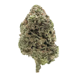 Image of CannabiStada 20/1 PIK