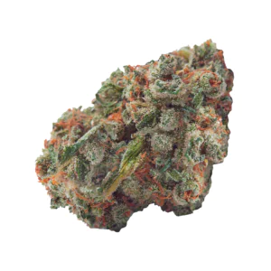 Image of Briah GP 29