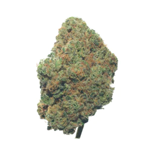 Image of slouu 27/1 GLZ CA