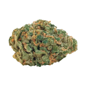 Image of Nimbus EASY 27/1 G-Runtz