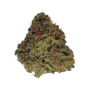 Image of Cannamedical Indica forte DK CKP