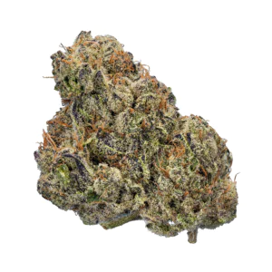Image of enua 25/1 CDG CA