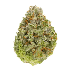 Image of Wellford Aquaponic 24/1 SDK