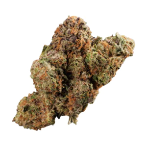 Image of 420 Evolution 27/1 CA MMI