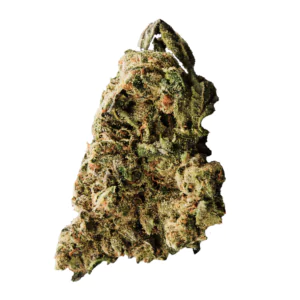 Image of 420 Sungrown 27/1 CA LLY