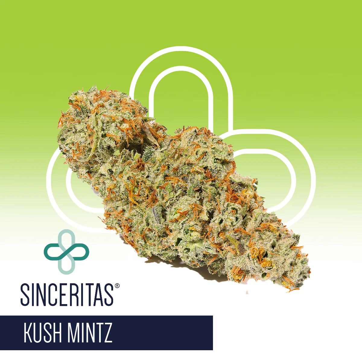 Image of Sinceritas Verum 24/1 Kush Mints