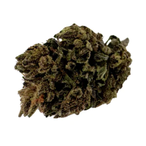 Image of Cannabis flos 1/14 LS Ku. Maluti CBD