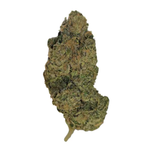 Image of PHYTO-HEMP PHCC 20/1