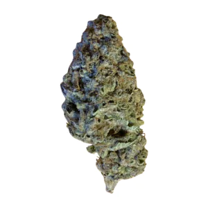 Image of enua 25/1 UDC CA