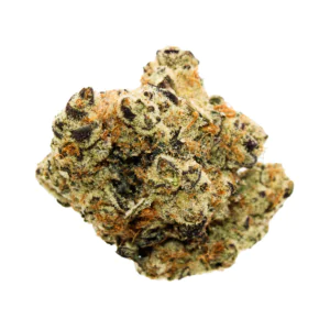 Image of Citizen Labs CR 34/1