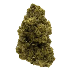 Image of Zoiks 22/1 CHZ