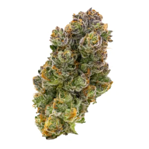 Image of alephSana red 30/1