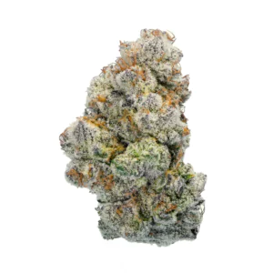 Image of PHCANN Exotics 28/1 Spritzer