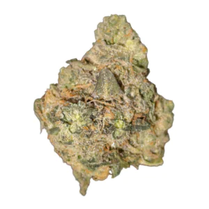 Image of Bathera 23/1 DS