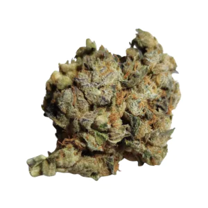 Image of Nimbus easy 22/1 AT