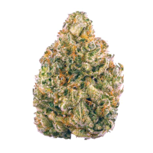 Image of Bava Med 25/1 Berry Blitz