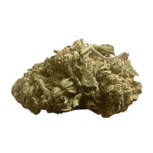 Image of Balancial 24/1 PT-S1 WP