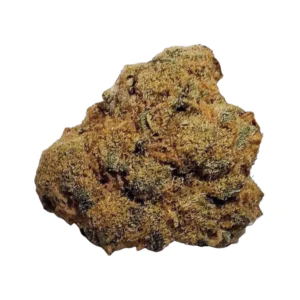 Image of Remexian 20/1 GJY FCO