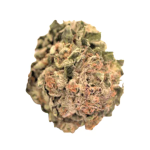 Image of TILRAY THC 25 Spotlight Porto GWOG