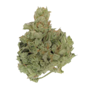 Image of TILRAY THC 22 Spotlight Porto ISS