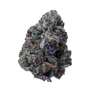 Image of 22/1 IUVO OC KILLER CUP