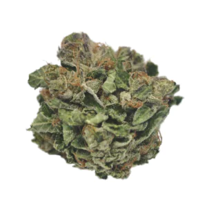 Image of TILRAY THC 25 Spotlight Porto Purps