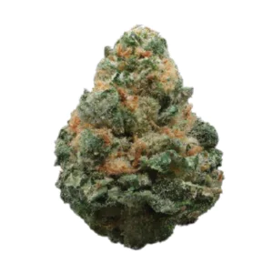 Image of Blayz 30/1 SWC