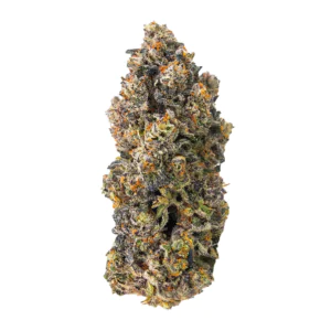 Image of CM 28/1 SP