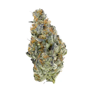 Image of THC Akut OHS 20 NP