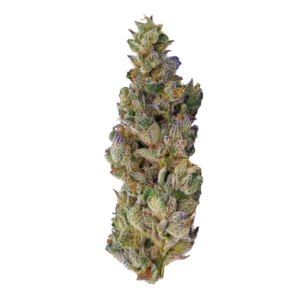 Image of Breezy Organics GGL 25/1