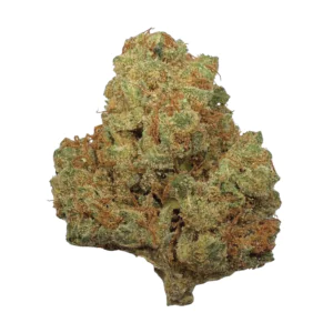 Image of Nimbus easy 30/1 La Sage