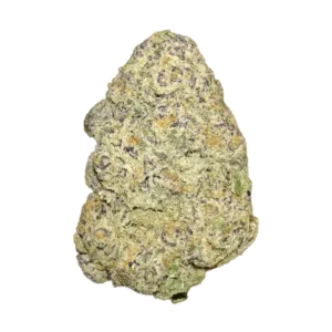 Image of Bathera 24/1 BZ