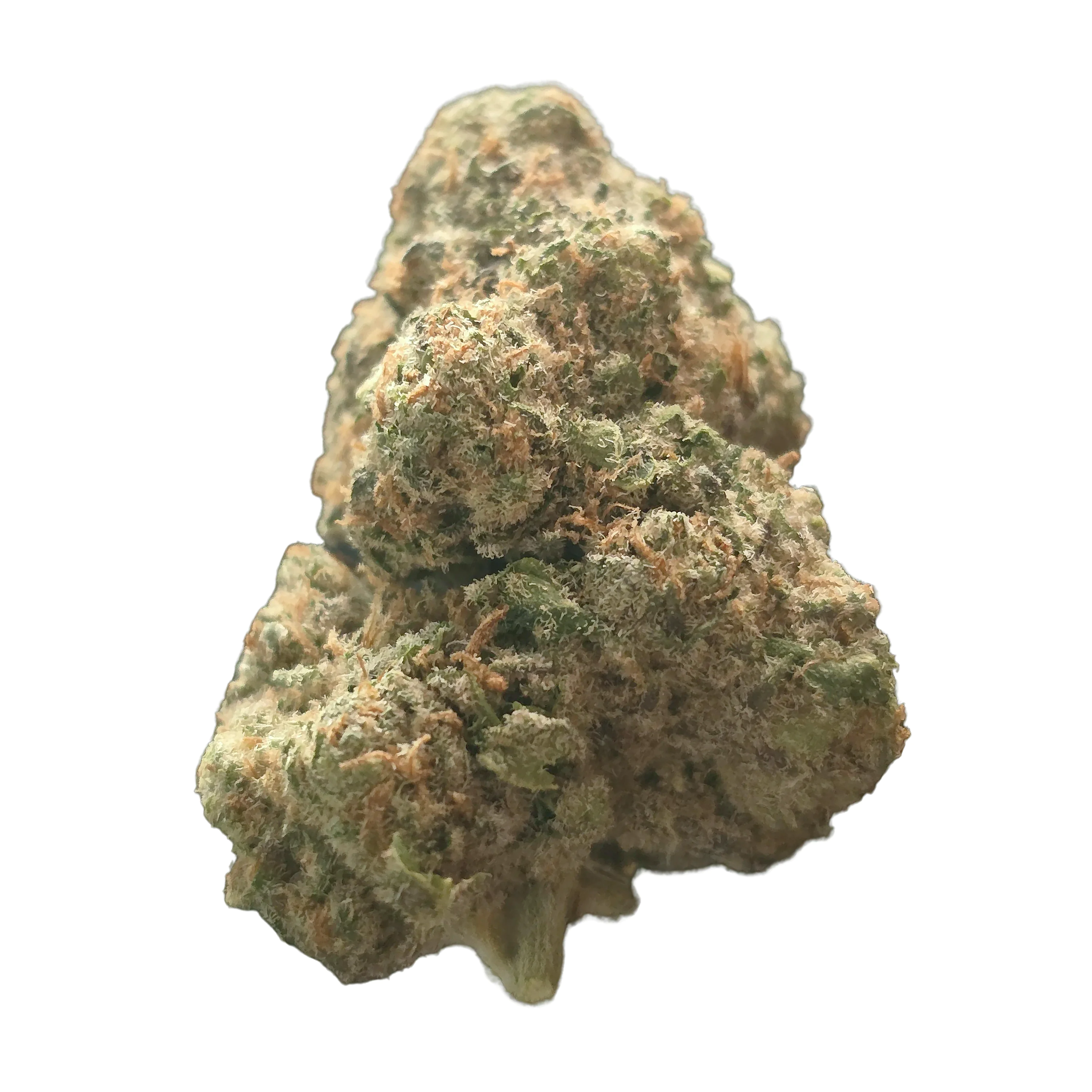 NEDCANN GHC 22/01 Chemical Bride Produktfoto