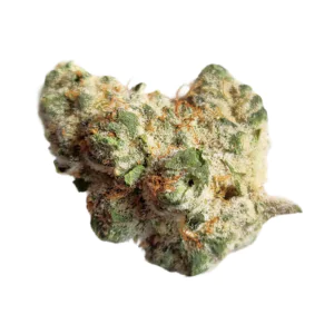 Image of 420 Evolution 27/1 CA PCH