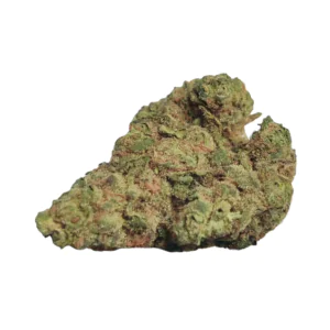 Image of Remexian 24/1 PRT SCK