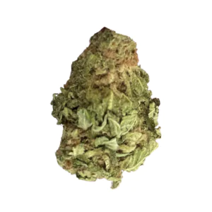 Image of Mediprocan Lunaris 23/1 Paradiso