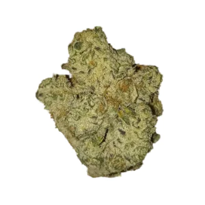 Image of Remexian 33/1 MTL WCK