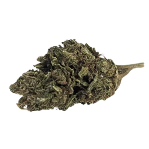 Image of Cannabis Flos 10/12 LS Ku Basotho Even