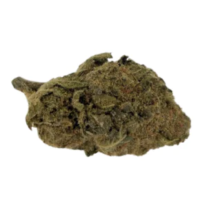 Image of Cannabis flos 18/1 LS Ku. Exodus Cheese