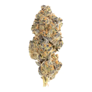 Image of avaay 28/1 GNC