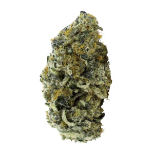 Image of avaay 34/1 JFP