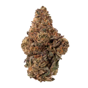Image of Cannabis flos 27/1 CGD Ku. Super Squishee