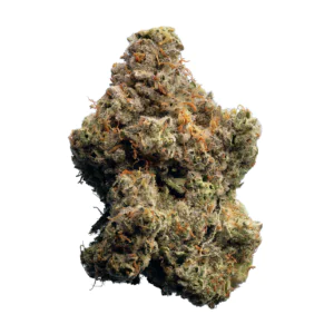 Image of enua 25/1 GTHZ CA