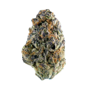 Image of Social Choice! 15/1 GRO ASH Amnesia Haze