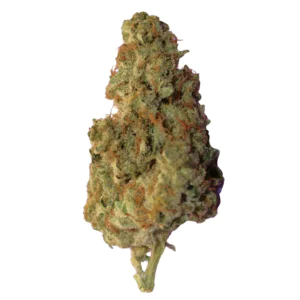 Image of Alphaflos BC 28/1 SW