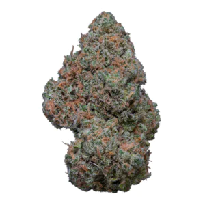 Image of alephSana green 24/1