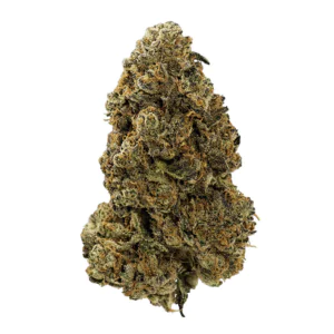 Image of enua 30/1 CCK-GBZ CA